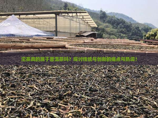 沱茶真的属于普洱茶吗？探讨传统与创新的痛点与热词！