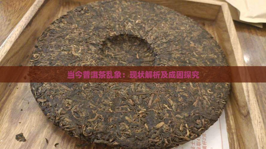 当今普洱茶乱象：现状解析及成因探究