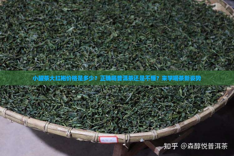 小罐茶大红袍价格是多少？正确喝普洱茶还是不懂？来学喝茶新姿势
