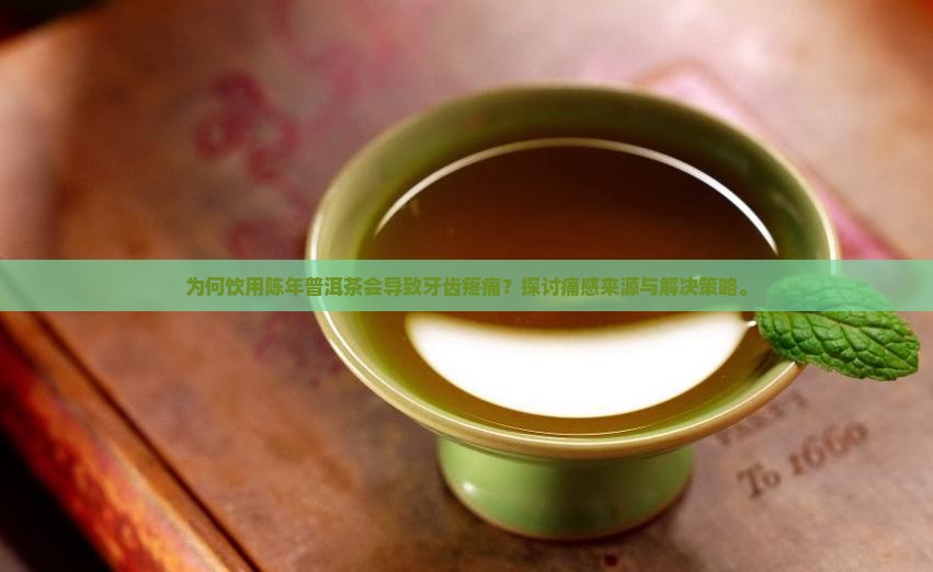 为何饮用陈年普洱茶会导致牙齿疼痛？探讨痛感来源与解决策略。