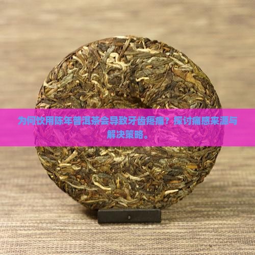 为何饮用陈年普洱茶会导致牙齿疼痛？探讨痛感来源与解决策略。