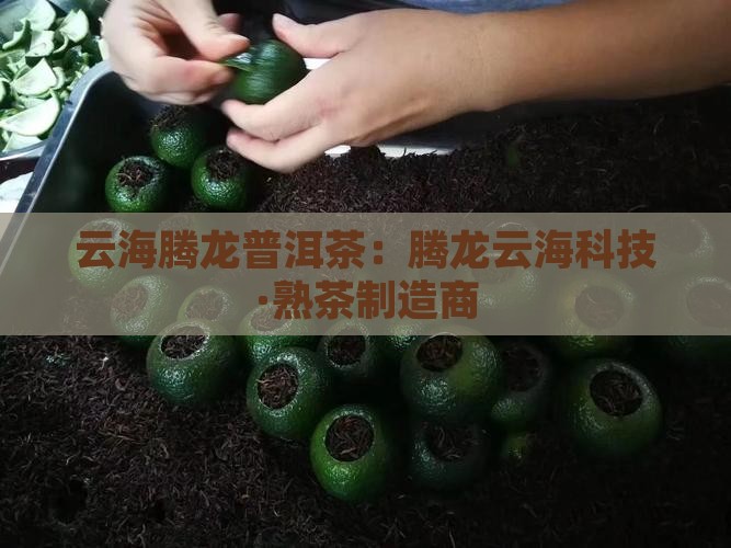 云海腾龙普洱茶：腾龙云海科技·熟茶制造商