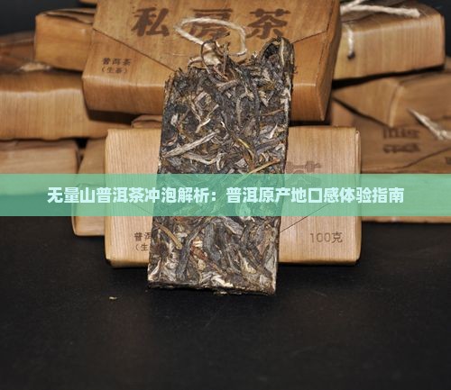 无量山普洱茶冲泡解析：普洱原产地口感体验指南
