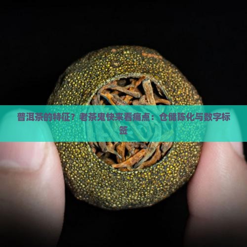 普洱茶的特征？老茶鬼快来看痛点：仓储陈化与数字标签