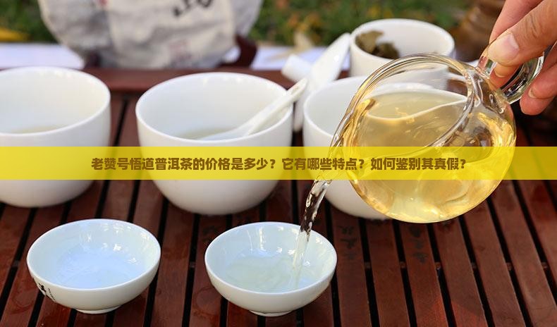 老赞号悟道普洱茶的价格是多少？它有哪些特点？如何鉴别其真假？