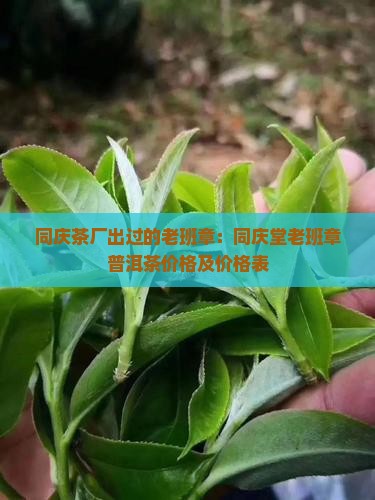 同庆茶厂出过的老班章：同庆堂老班章普洱茶价格及价格表