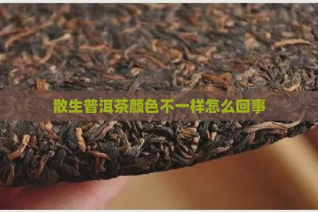 散生普洱茶颜色不一样怎么回事