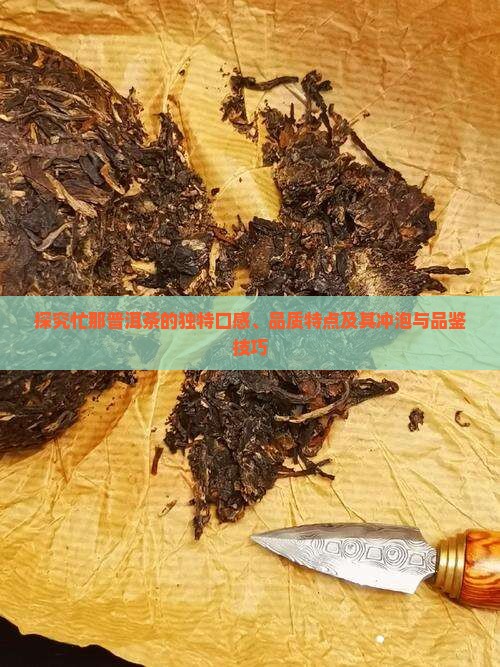 探究忙那普洱茶的独特口感、品质特点及其冲泡与品鉴技巧