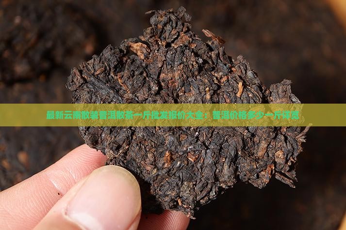 最新云南散装普洱散茶一斤批发报价大全：普洱价格多少一斤详览