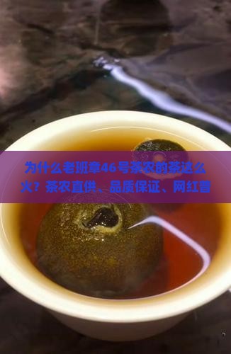 为什么老班章46号茶农的茶这么火？茶农直供、品质保证、网红普洱茶推荐