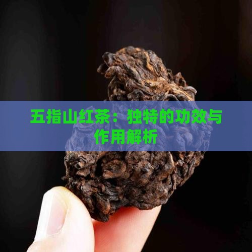 五指山红茶：独特的功效与作用解析