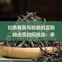 红茶春茶与秋茶的区别、特点及如何挑选：季节性口感、香气、品质差异比较