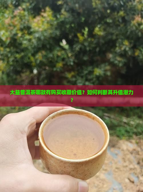大益普洱茶哪款有购买收藏价值？如何判断其升值潜力？
