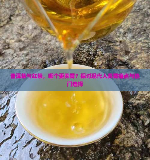 普洱茶与红茶，哪个更养胃？探讨现代人养胃痛点与热门选择