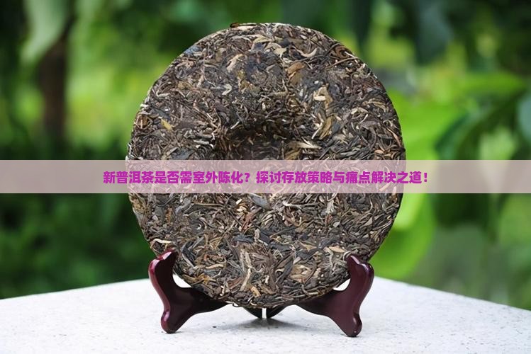 新普洱茶是否需室外陈化？探讨存放策略与痛点解决之道！