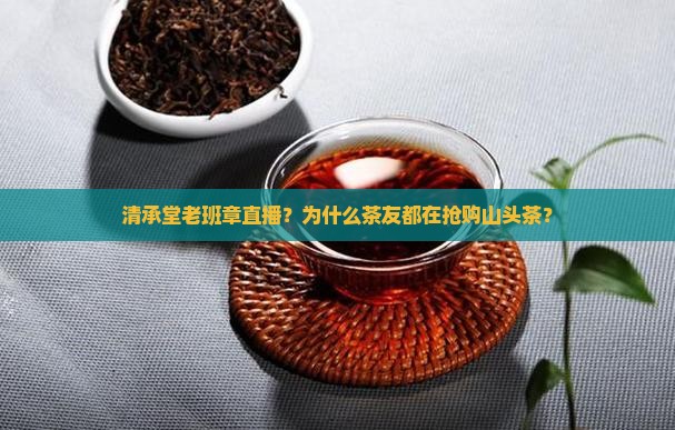 清承堂老班章直播？为什么茶友都在抢购山头茶？