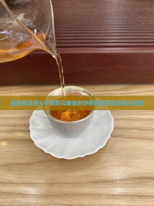 最新普洱茶七子饼茶云南老树饼茶普洱茶批发报价价格