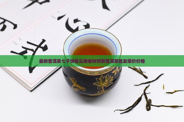 最新普洱茶七子饼茶云南老树饼茶普洱茶批发报价价格
