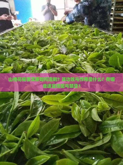 山楂花椒普洱茶如何泡制？其功效与作用是什么？有哪些适宜搭配与禁忌？