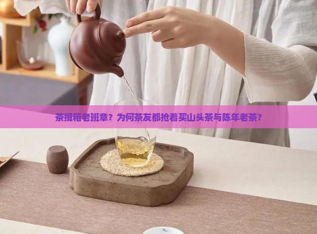 茶揖箱老班章？为何茶友都抢着买山头茶与陈年老茶？