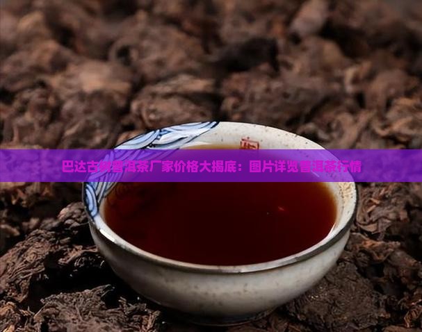 巴达古树普洱茶厂家价格大揭底：图片详览普洱茶行情