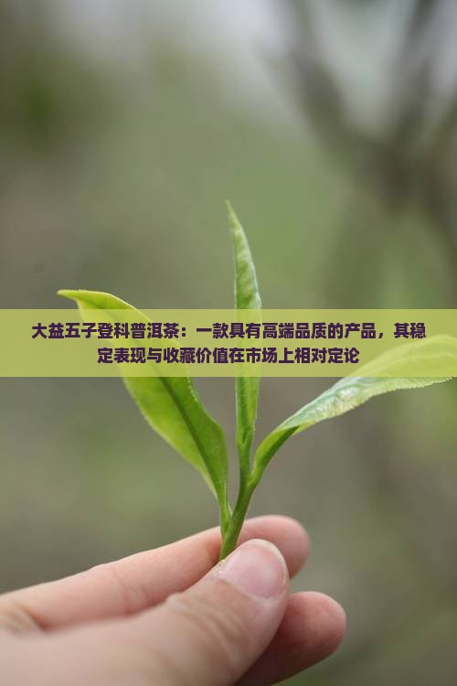 大益五子登科普洱茶：一款具有高端品质的产品，其稳定表现与收藏价值在市场上相对定论