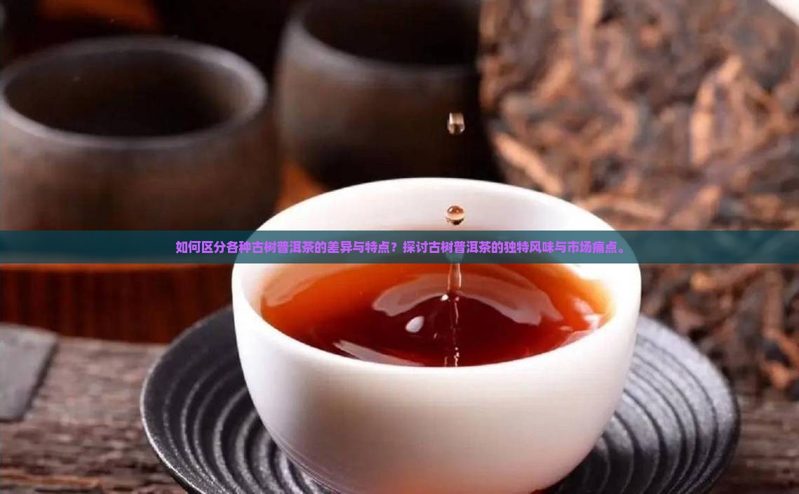 如何区分各种古树普洱茶的差异与特点？探讨古树普洱茶的独特风味与市场痛点。