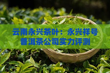 云南永兴茶叶：永兴祥号普洱茶公司实力评测
