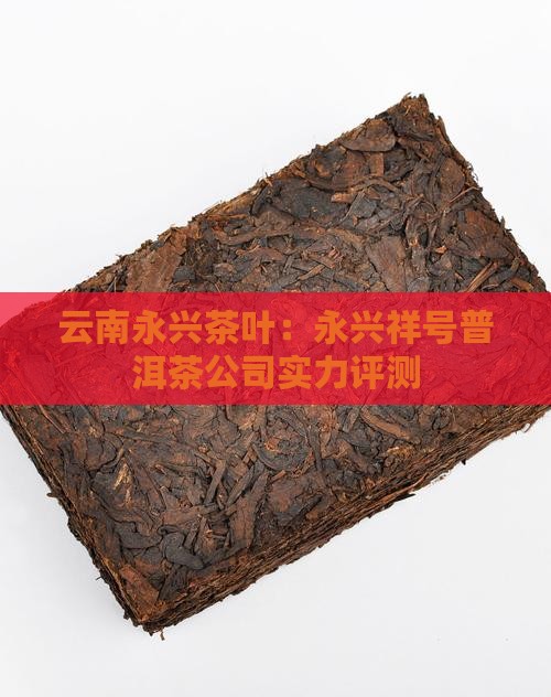 云南永兴茶叶：永兴祥号普洱茶公司实力评测