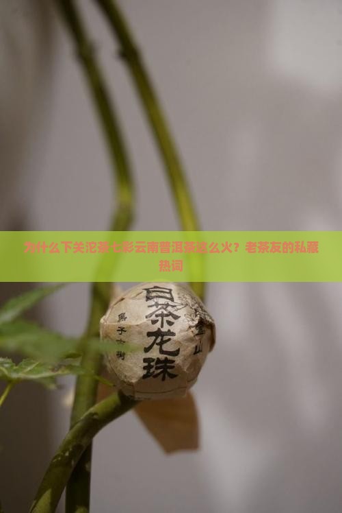 为什么下关沱茶七彩云南普洱茶这么火？老茶友的私藏热词
