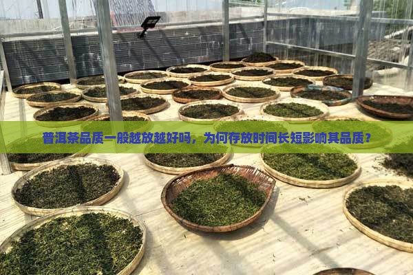 普洱茶品质一般越放越好吗，为何存放时间长短影响其品质？