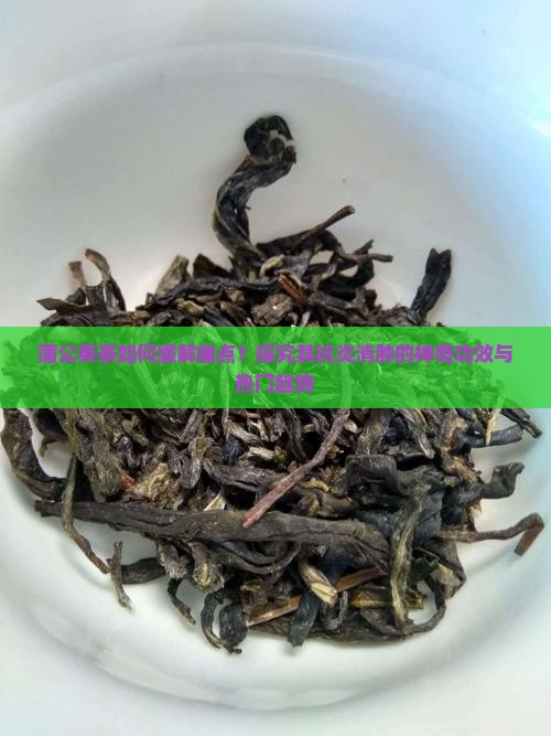 蒲公英茶如何缓解痛点？探究其抗炎消肿的神奇功效与热门趋势