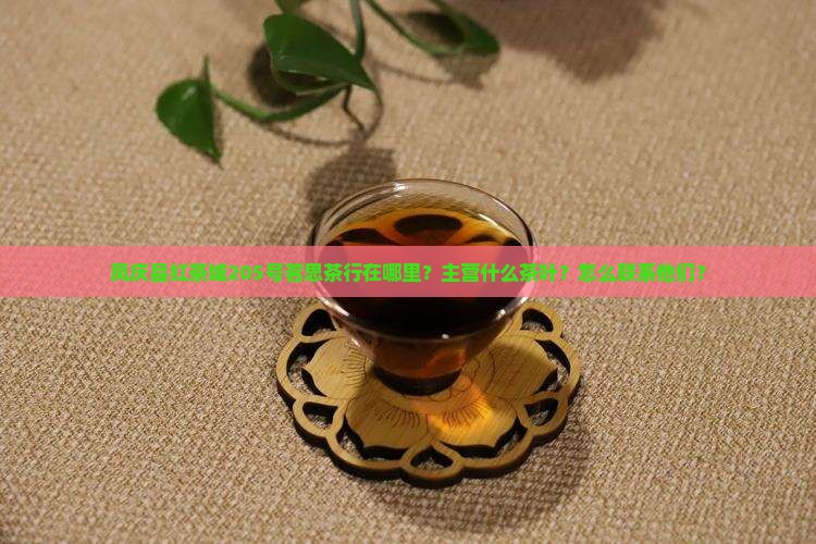 凤庆县红茶城205号茗思茶行在哪里？主营什么茶叶？怎么联系他们？
