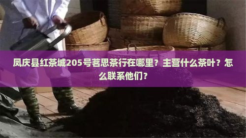 凤庆县红茶城205号茗思茶行在哪里？主营什么茶叶？怎么联系他们？
