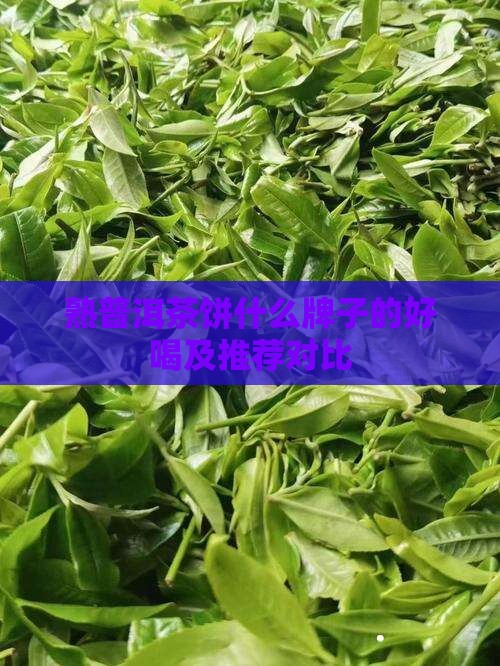 熟普洱茶饼什么牌子的好喝及推荐对比