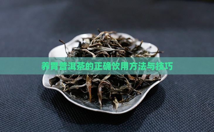 养胃普洱茶的正确饮用方法与技巧