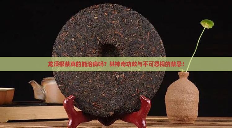 龙须根茶真的能治病吗？其神奇功效与不可忽视的禁忌！