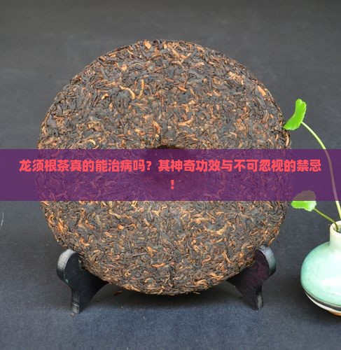 龙须根茶真的能治病吗？其神奇功效与不可忽视的禁忌！