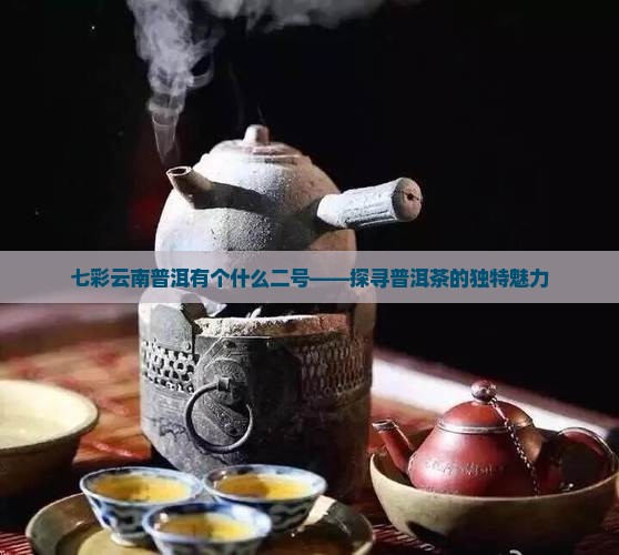 七彩云南普洱有个什么二号——探寻普洱茶的独特魅力
