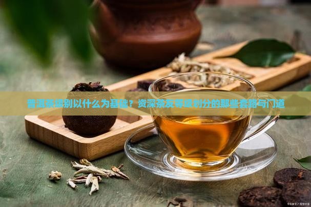 普洱茶级别以什么为基础？资深茶友等级划分的那些套路与门道