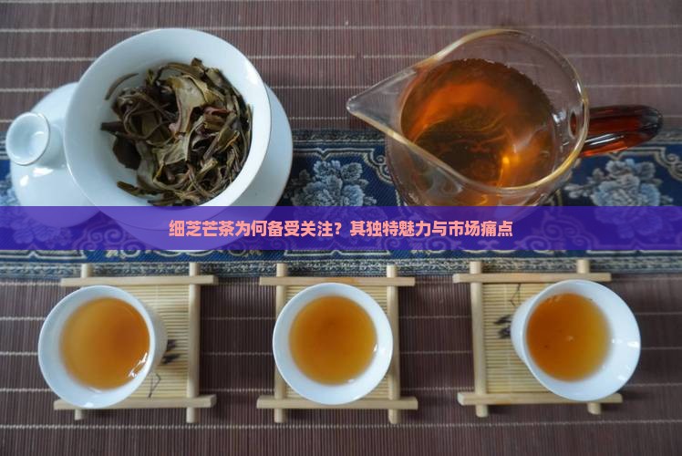 细芝芒茶为何备受关注？其独特魅力与市场痛点