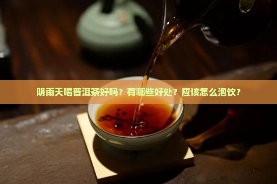 阴雨天喝普洱茶好吗？有哪些好处？应该怎么泡饮？