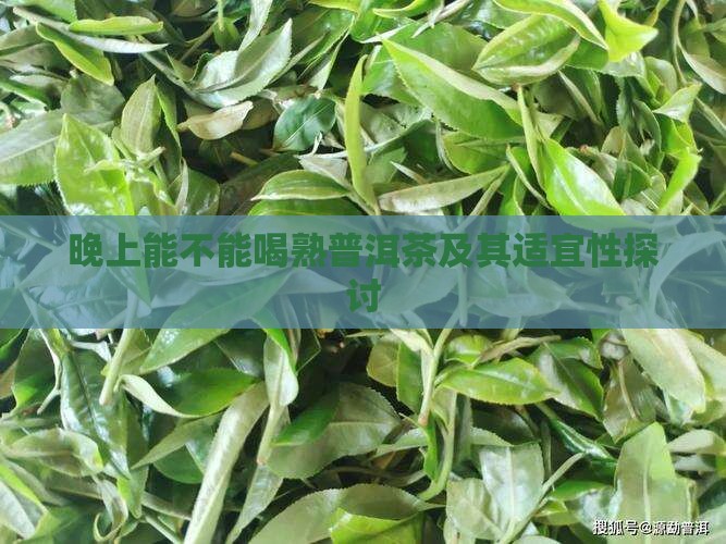 晚上能不能喝熟普洱茶及其适宜性探讨