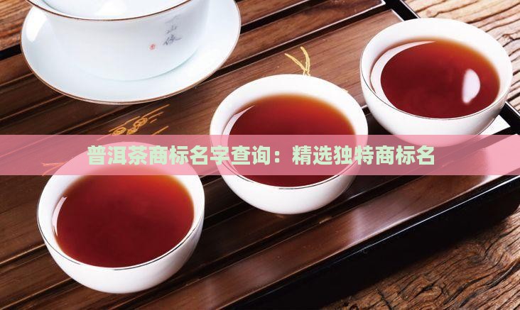 普洱茶商标名字查询：精选独特商标名