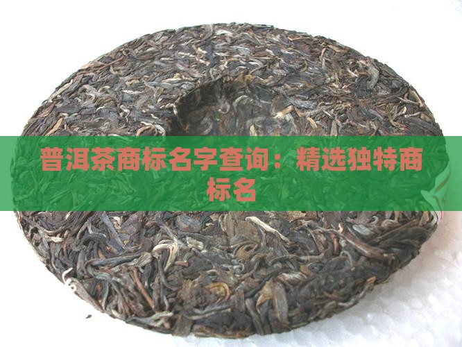 普洱茶商标名字查询：精选独特商标名