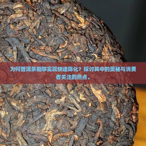 为何普洱茶能够实现快速陈化？探讨其中的奥秘与消费者关注的热点。