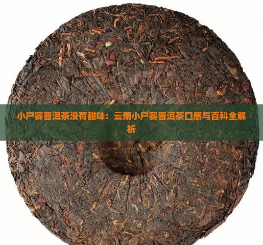 小户赛普洱茶没有甜味：云南小户赛普洱茶口感与百科全解析