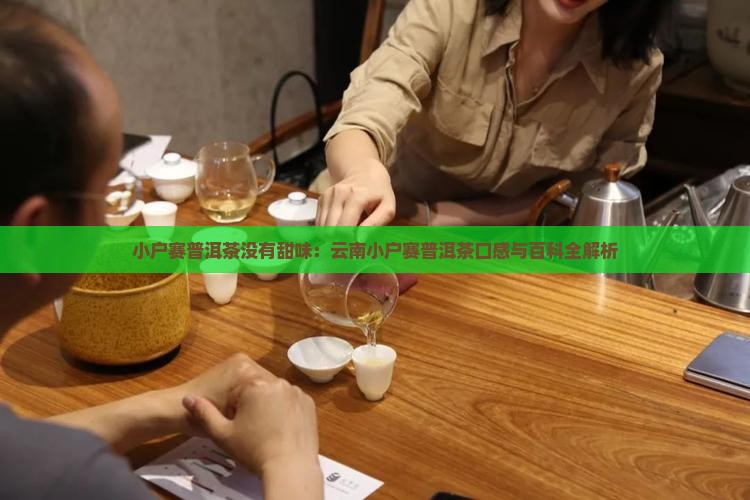 小户赛普洱茶没有甜味：云南小户赛普洱茶口感与百科全解析