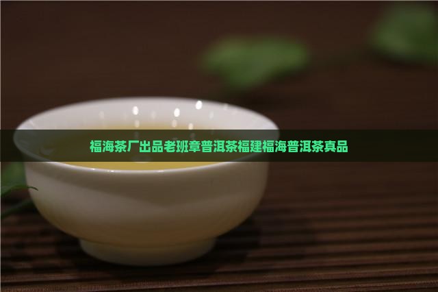 福海茶厂出品老班章普洱茶福建福海普洱茶真品