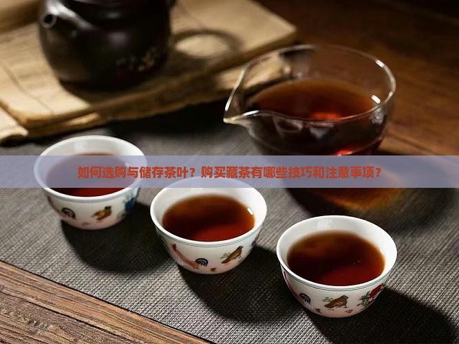 如何选购与储存茶叶？购买藏茶有哪些技巧和注意事项？